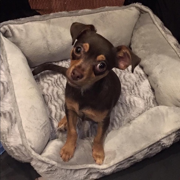 Meet your Posher, Danielle - Picture 16 of 16